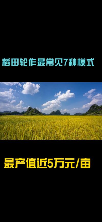 &ldquo;一田多收，藏着农业增收的密码！今天带您1分钟看懂水稻轮作的致富密码