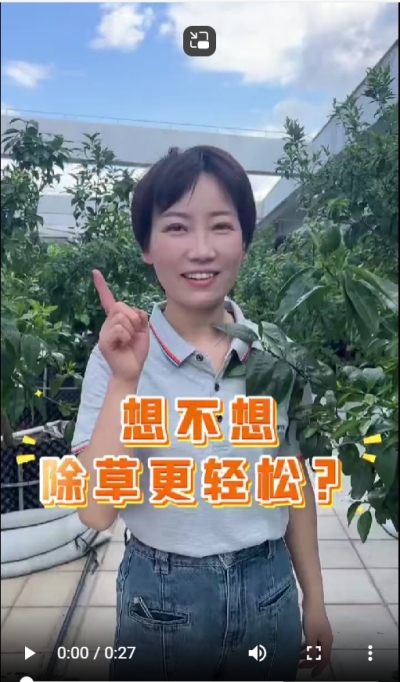 打了除草剂，死草慢，草死了两天又活了，怎么办？我教你一招