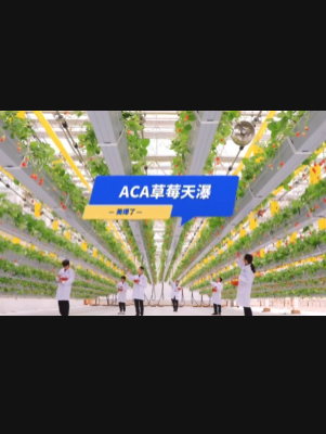 自由升降、追光生长。#ACA草莓天瀑，美爆了！向天再借500平！#ACA可控农业 #华维集团 #数字农业