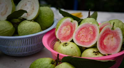 番石榴
采购意向地：&nbsp;面向全国
送货地区：&nbsp;山东
其他要求：&nbsp;寻求靠谱货源，长期