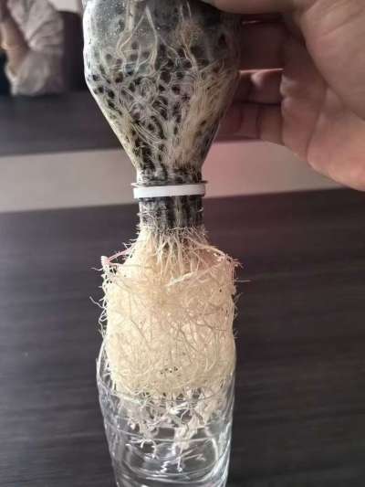 年销售量三十万吨的有机肥生产厂家，全国网点发货，资质齐全，正品保障！有机肥、生物菌肥、微生物肥料等