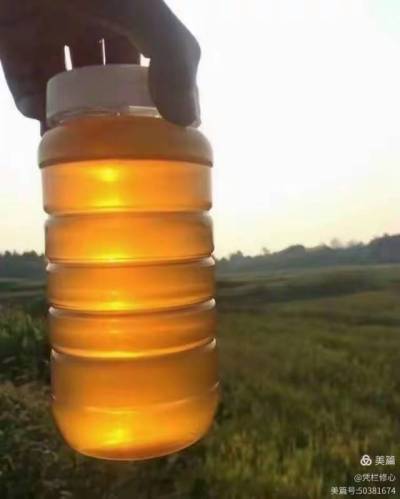 &ldquo;蜜&rdquo;源自然，臻选乡土精华。产自株洲市渌口区淦田镇成国家庭农场的纯天然中华蜂蜜，