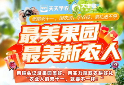 丰农控股2025年 &ldquo;最美果园&rdquo;&ldquo;最美新农人&rdquo; 评选活动启动，助力农业风采展示