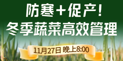 《细说农技》专家张宝林教冬季蔬菜防寒 + 促产高效管理，27 日晚 8 点！