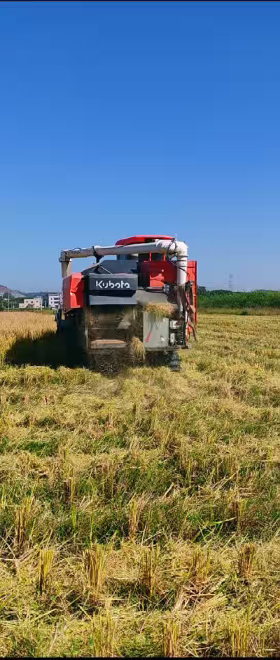 惠州基地，无人拖拉机收水稻了。