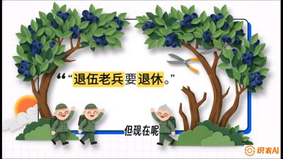 第7节：修剪决定产量（下）&mdash;&mdash;结果树的更新与疏果，课程：《蓝莓&ldquo;高产&rdquo;实战课：从选苗到丰收的10个关键点》