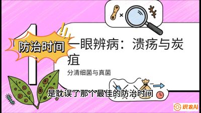 第三节：细菌与真菌&mdash;&mdash;溃疡病与炭疽病，课程：《柑橘十大病虫害：从入门到精通》