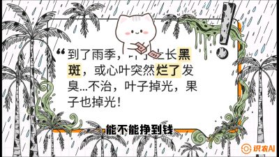 第05节：常见真菌病害&mdash;&mdash;&ldquo;炭疽与烂心，早防值千金&rdquo;《槟榔种植：从不懂到精通的10堂必修课》
