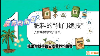 第07节：科学施肥&mdash;&mdash;&ldquo;氮磷钾配好，树壮果不倒