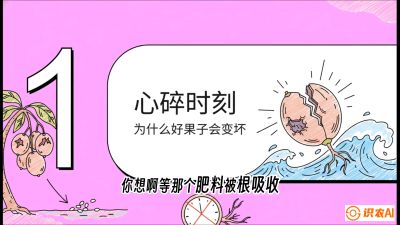 第08节：微量元素与保果&mdash;&mdash;&ldquo;补硼又补钙，果子不裂坏&rdquo;《槟榔种植：从不懂到精通的10堂必修课》