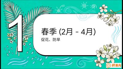 第10节：周年农事日历&mdash;&mdash;&ldquo;跟着节气走，丰产在手头&rdquo;《槟榔种植：从不懂到精通的10堂必修课》