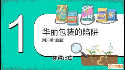 第4节：【黄金配方】底肥里的&ldquo;铁三角&rdquo;与&ldquo;微量雷区&rdquo;课程：《柑橘底肥&ldquo;翻身账&rdquo;：从改土到高产的实战全书》