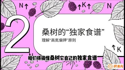 第04节：地下核动力&mdash;&mdash;桑树专用水肥一体化配方，课程：《桑海淘金：桑树高产与蚕桑安全进阶实战课》