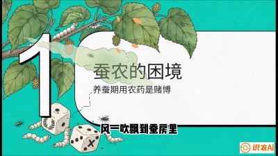 第06节：虫口夺叶（上）&mdash;&mdash;物理与生物防控绝技，课程《桑海淘金：桑树高产与蚕桑安全进阶实战课》