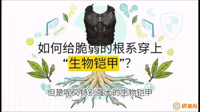 第三节：国产榴莲突围战：根系堡垒，菌根微生态构建与黄金定植窗口，课程：《国产榴莲突围战：从泰国经验到中国实操的8堂必修课（高阶实战版）》