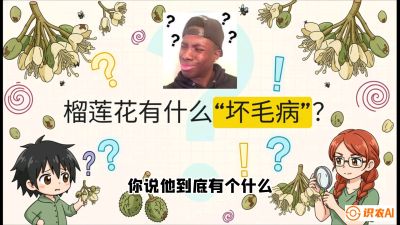 第六节：榴莲的午夜战事，夜间授粉战与花果期避雨策略，课程：《国产榴莲突围战：从泰国经验到中国实操的8堂必修课（高阶实战版）》