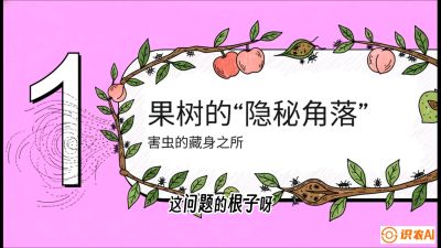 第3节：无人机专治&ldquo;打不透&rdquo;&mdash;&mdash;果树与高杆作物的穿透技巧，课程：《无人机植保搞钱必修课：从&ldquo;瞎飞&rdquo;到&ldquo;懂行&rdquo;的6步进阶》