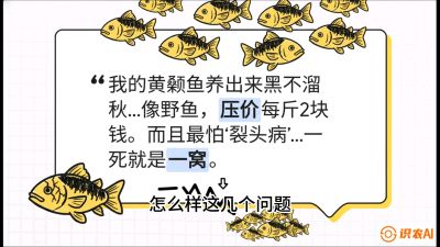 第四节：【黄金单品&middot;黄颡鱼】解决&ldquo;一点红&rdquo;与&ldquo;香蕉色&rdquo;的悖论，课程：《黄金鳞甲：2025中国淡水鱼高效养殖实战营》