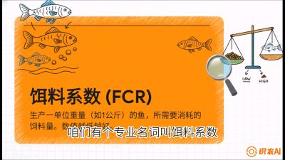 第五节：【高端单品&middot;鳜鱼】&ldquo;饲料鳜&rdquo;技术：打破吃活饵的高成本魔咒，课程：《黄金鳞甲：2025中国淡水鱼高效养殖实战营》