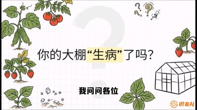 第2节（解毒篇）： 大棚里的&ldquo;红白绿&rdquo;警报&mdash;&mdash;读懂土壤盐渍化的求救信号，课程：《揭秘土壤的秘密：让土地帮你赚钱》#识农AI
