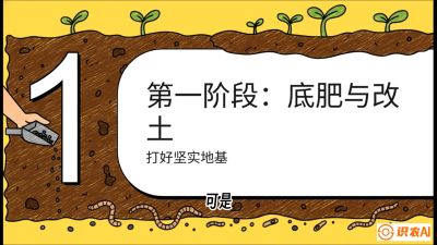 第6节（统筹篇）： 省钱又增产的&ldquo;黄金配比&rdquo;&mdash;&mdash;不同作物全年的养土实操方案，课程：《揭秘土壤的秘密：让土地帮你赚钱》#识农AI