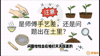 第02节（土肥篇）：告别&ldquo;苦涩水味&rdquo;：揭秘&ldquo;碳氮比&rdquo;调控术，种出自带兰花香的好茶底，课程：《茶金时代：从&ldquo;看天吃饭&rdquo;到&ldquo;精准控局&rdquo;的茶叶高产提质实战课》