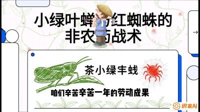 第03节（虫害篇）：看不见的吸血鬼：小绿叶蝉与红蜘蛛的&ldquo;非农药&rdquo;团灭战术（抗性治理），课程：《茶金时代：从&ldquo;看天吃饭&rdquo;到&ldquo;精准控局&rdquo;的茶叶高产提质实战课》