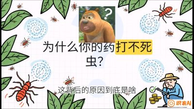 第4节：【虫害歼灭战】打不死的蓟马、隐形的茶黄螨：抗性时代的&ldquo;混配绝杀&rdquo;，课程：《辣椒种植实战特训营，从工业辣椒到精品小米辣，教你如何把&ldquo;草&rdquo;种成&ldquo;金&rdquo;》