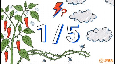 第6节：【花果爆发术】落花落果的五大元凶，与&ldquo;三喷一保&rdquo;坐果黑科技，课程：《辣椒种植实战特训营，从工业辣椒到精品小米辣，教你如何把&ldquo;草&rdquo;种成&ldquo;金&rdquo;》