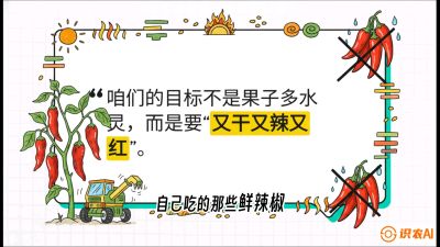 第7节：【工业辣椒专场】追求极致辣度！干物质提升与机械化采收的&ldquo;催红秘籍&rdquo;，课程：《辣椒种植实战特训营，从工业辣椒到精品小米辣，教你如何把&ldquo;草&rdquo;种成&ldquo;金&rdquo;》