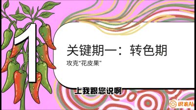 第8节：【小米辣线椒专场】颜值即正义！防花皮、防炭疽，打造收购商抢着要的&ldquo;精品果&rdquo;，课程：《辣椒种植实战特训营，从工业辣椒到精品小米辣，教你如何把&ldquo;草&rdquo;种成&ldquo;金&rdquo;》