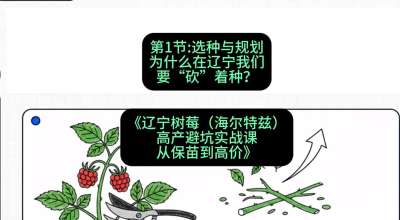 第一节： 选种与规划&mdash;&mdash;为什么在辽宁我们要&ldquo;砍&rdquo;着种？，课程：《辽宁树莓（海尔特兹）高产避坑实战课：从保苗到高价》