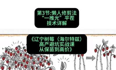 第三节： 懒人修剪法&mdash;&mdash;&ldquo;一推光&rdquo;平茬技术详解，课程：《辽宁树莓（海尔特兹）高产避坑实战课：从保苗到高价》