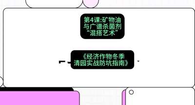 第4节：【替代方案】矿物油与广谱杀菌剂的&ldquo;混搭艺术&rdquo;，课程：《经济作物冬季清园&middot;实战防坑指南》#识农AI