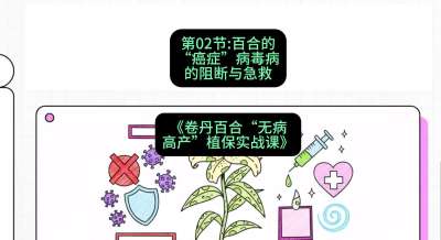 第02节：百合的&ldquo;癌症&rdquo;&mdash;&mdash;病毒病的阻断与急救，课程：《卷丹百合&ldquo;无病高产&rdquo;植保实战课》#识农AI