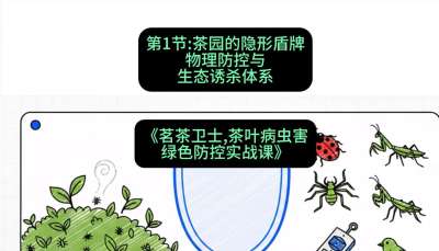 第01节：茶园的&ldquo;隐形盾牌&rdquo;&mdash;&mdash;物理防控与生态诱杀体系，课程：《茗茶卫士&mdash;&mdash;茶叶病虫害绿色防控实战课》#识农AI