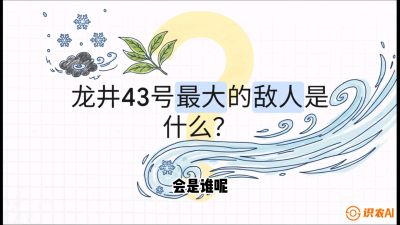 第04节：龙井双璧&mdash;&mdash;龙井43与群体种的差异化护养（重点），课程：《茗茶卫士&mdash;&mdash;茶叶病虫害绿色防控实战课》#识农AI