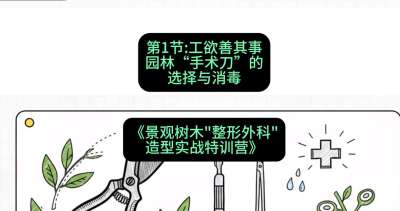 第01节：工欲善其事&mdash;&mdash;园林&ldquo;手术刀&rdquo;的选择与消毒，课程：《景观树木&ldquo;整形外科&rdquo;造型实战特训营》#识农AI