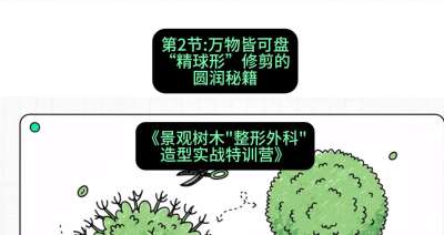 第02节：万物皆可盘&mdash;&mdash;&ldquo;精球形&rdquo;修剪的圆润秘籍，课程：《景观树木&ldquo;整形外科&rdquo;造型实战特训营》#识农AI
