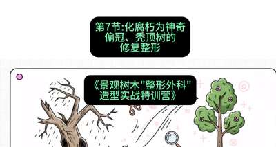 第07节：化腐朽为神奇&mdash;&mdash;偏冠、秃顶树的修复整形，课程：《景观树木&ldquo;整形外科&rdquo;造型实战特训营》#识农AI