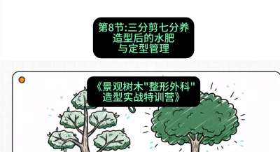 第08节：三分剪七分养&mdash;&mdash;造型后的水肥与定型管理，课程：《景观树木&ldquo;整形外科&rdquo;造型实战特训营》#识农AI