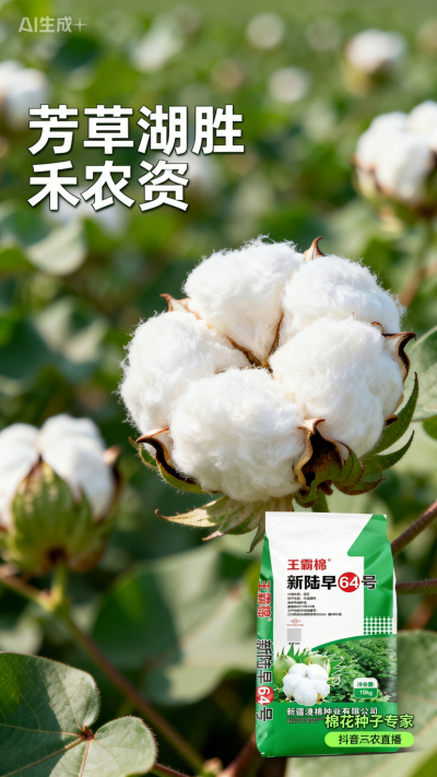 新疆棉花澳棉种业王霸棉，还有其它都好