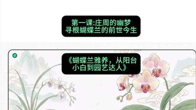 第一节：庄周的幽梦：寻根蝴蝶兰的前世今生，课程：《蝴蝶兰雅养六讲：从阳台小白到园艺达人》#识农AI