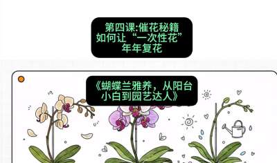 第四节：催花秘籍：如何让&ldquo;一次性花&rdquo;年年复花，课程：《蝴蝶兰雅养六讲：从阳台小白到园艺达人》#识农AI