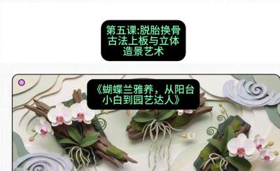 第五节：脱胎换骨：古法上板与立体造景艺术，课程：《蝴蝶兰雅养六讲：从阳台小白到园艺达人》#识农AI