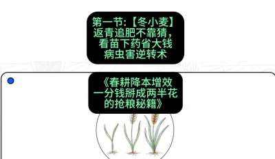 第一节：【冬小麦】返青追肥不靠猜，看苗下药省大钱