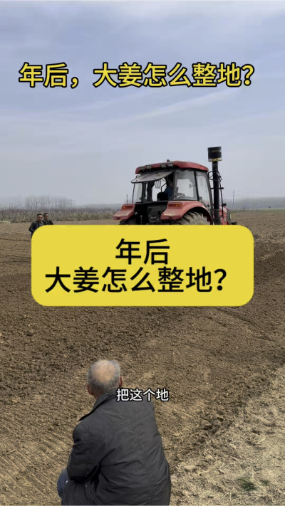 年后，大姜怎么整地？