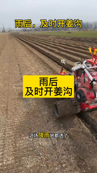 雨后，及时开姜沟！