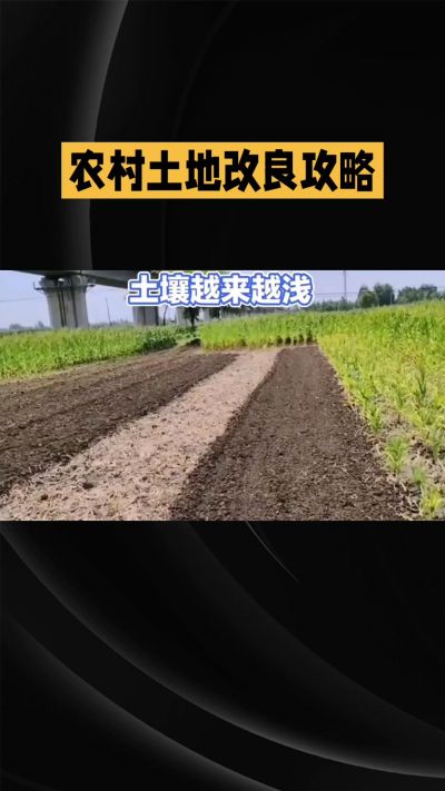 1. 先搞懂：你到底要改良哪块地、种什么
 
- 土土土在哪里？
就是你自家农田、菜地、果园，哪块地想种庄稼，就测哪块地的土。
​
- 有水没有水？
有水能浇：改良更省事，施肥、调酸碱都好操作。
没水