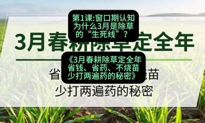 第1节：窗口期认知，为什么3月是除草的&ldquo;生死线&rdquo;？，课程：《3月春耕除草定全年：省钱、省药、不烧苗、少打两遍药的秘密》